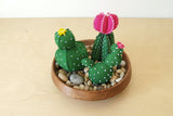 Cactus Garden Felt Hand Sewing Kit