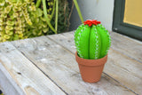 Mini Cactus Felt Hand Sewing Kit