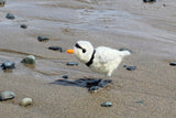 beginner-needle-felting-kit-bird-plover-wool-tools