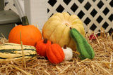 Fall Vegetable Scene Needle Felting Kit