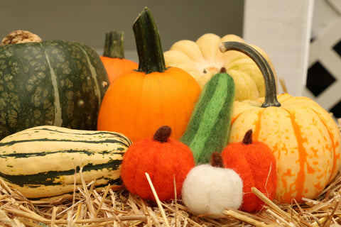 Fall Vegetable Scene Needle Felting Kit