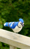 Blue Jay Needle Felting Kit