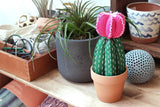 Moon Cactus Felt Hand Sewing Kit