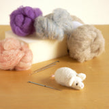 Needle Felting Starter Kit for Beginners